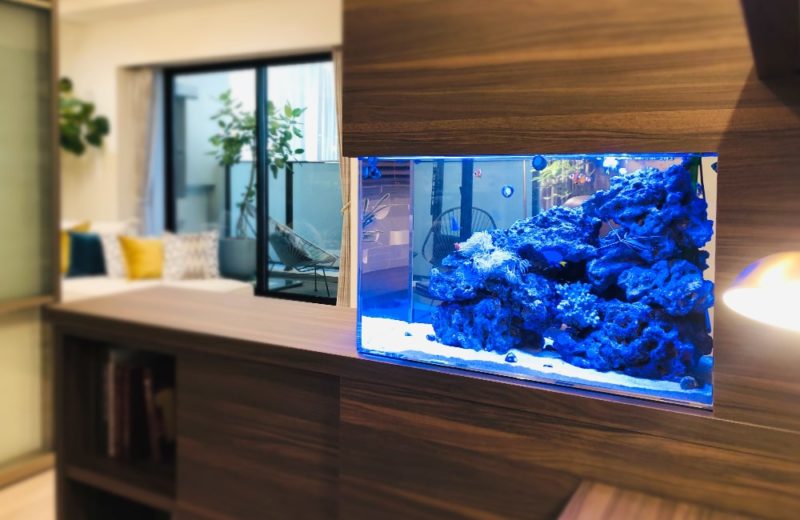 木目調の家具に埋め込まれた青い照明の海水魚水槽