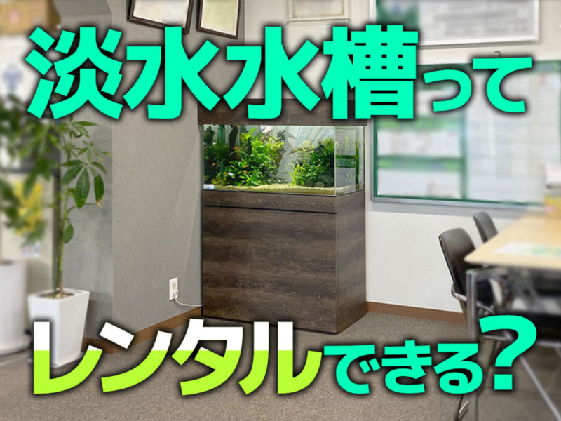淡水水槽レンタルについての文字入り見出し画像