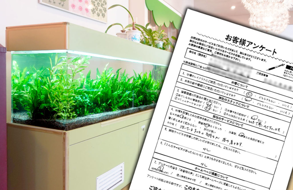 お客様アンケートの用紙と水草が茂る大型水槽の画像