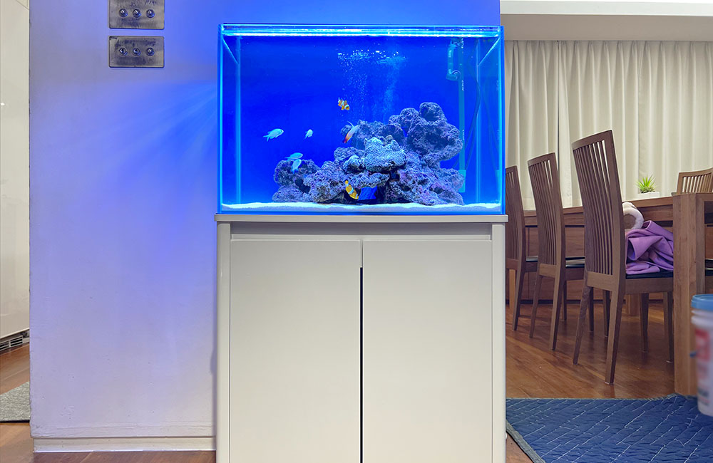 青い照明の海水魚水槽と白い水槽台があるリビングの風景