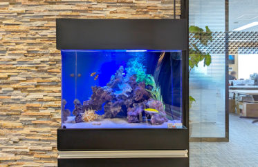企業様のミーティングスペースに設置！60cm海水魚水槽