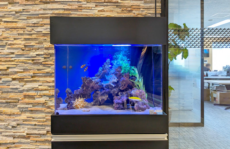 企業様のミーティングスペースに設置!60cm海水魚水槽 水槽画像1
