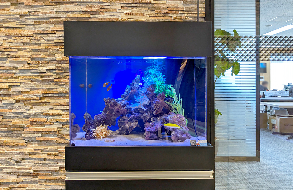 企業様のミーティングスペースに設置！60cm海水魚水槽