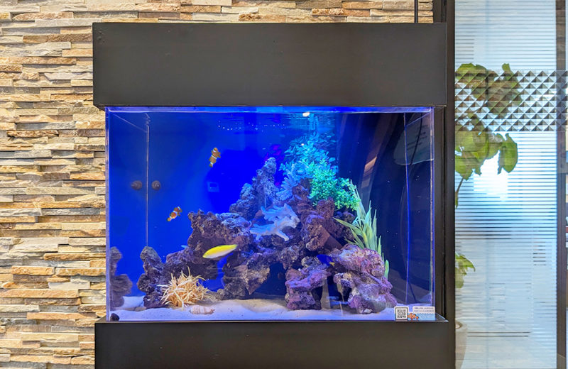 企業様のミーティングスペースに設置!60cm海水魚水槽 水槽画像3