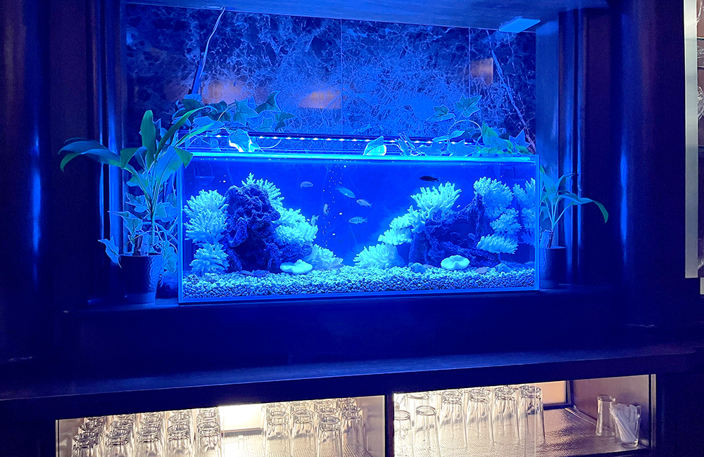 青い照明に照らされたサンゴ模型と熱帯魚のバーカウンター水槽