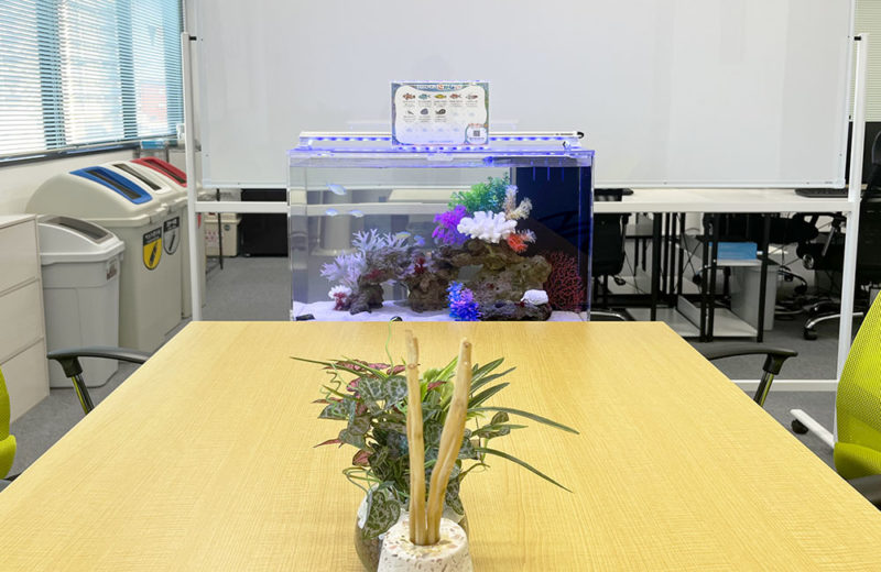 ミーティングスペースに水槽をレンタル!企業様の60cmの海水魚水槽! 水槽画像2