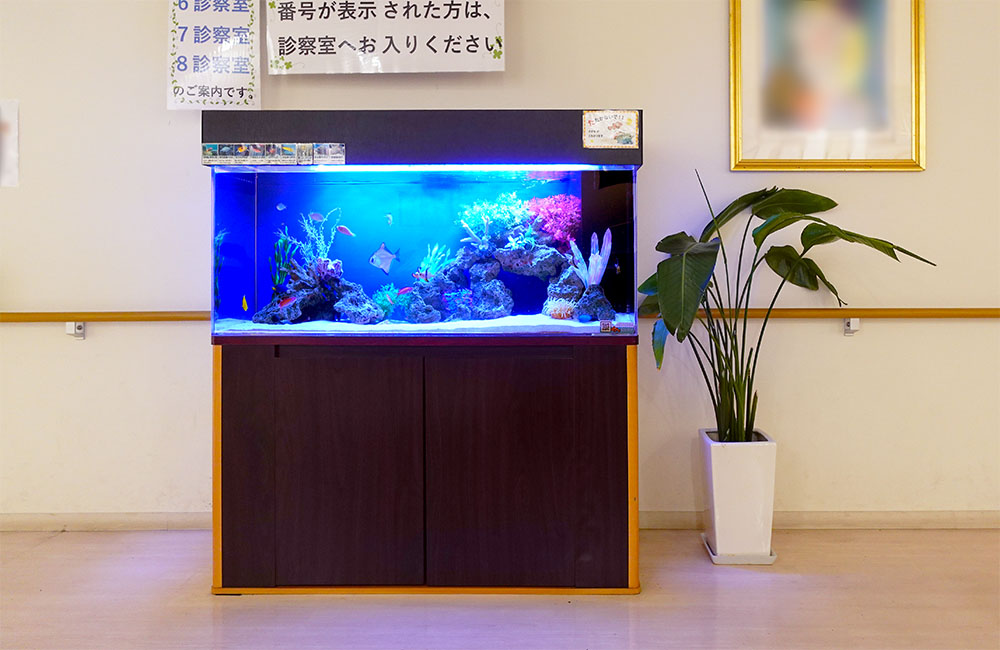 診察室前を彩る！病院様の120cm海水魚水槽メンテナンス事例・その後のサムネイル画像