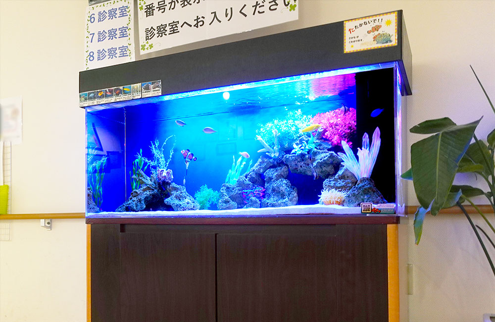 診察室前に設置された海水魚が泳ぐ大型水槽の全景