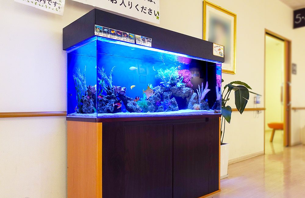 廊下に設置された青い照明の海水魚水槽と木製水槽台