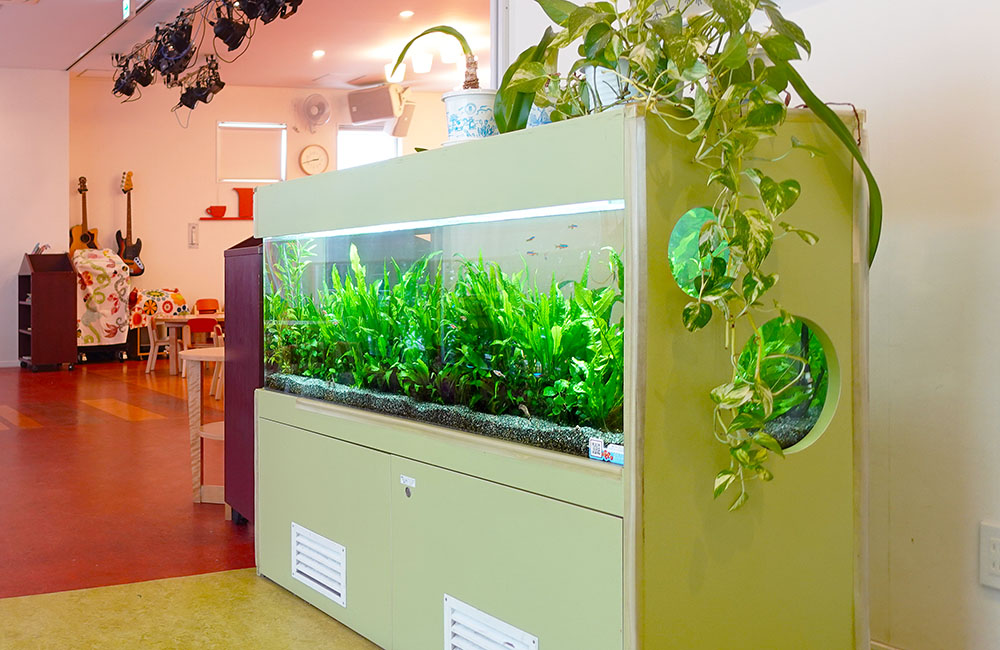 観葉植物を飾った大型水槽と緑色の水槽台の設置風景