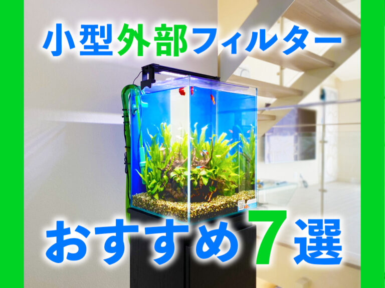 小型外部フィルターおすすめ7選の見出し画像