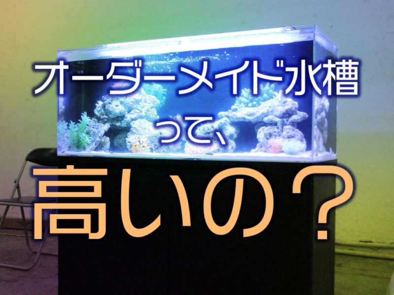オーダーメイド水槽の価格に関する文字入り見出し画像