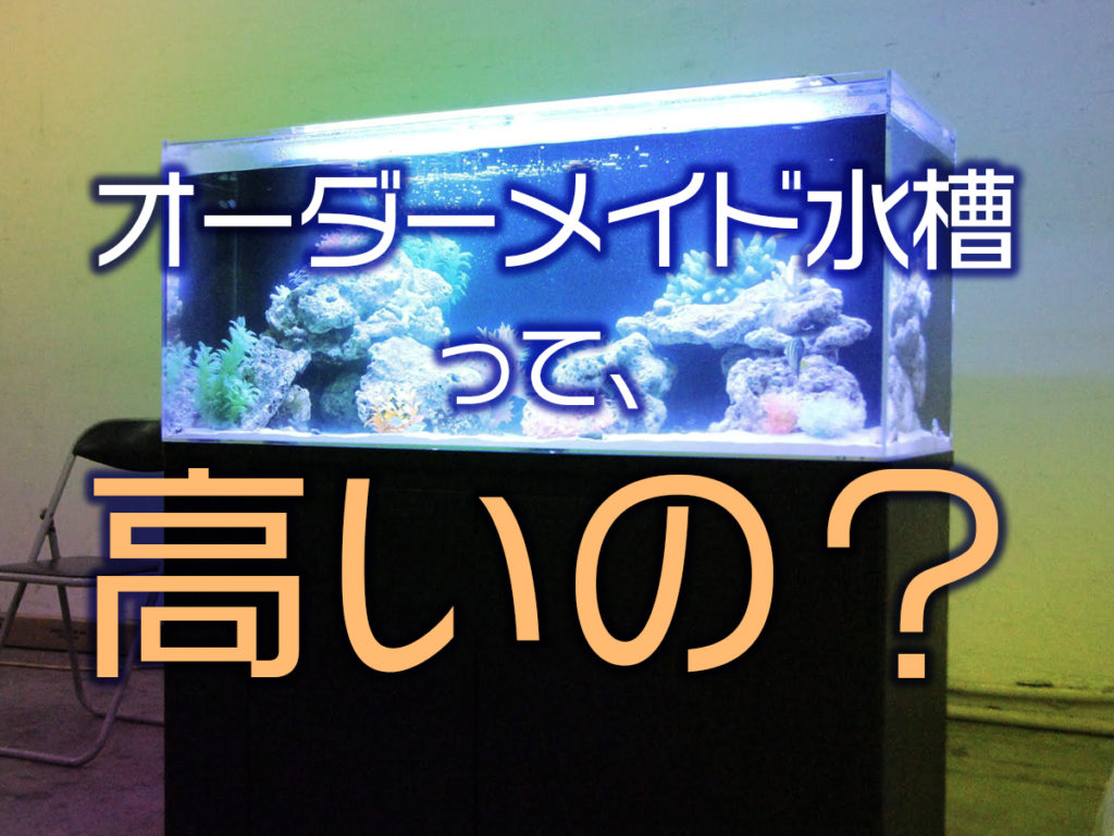 オーダーメイド水槽って高いのか?値段が決まる条件・発注テクニックのサムネイル画像