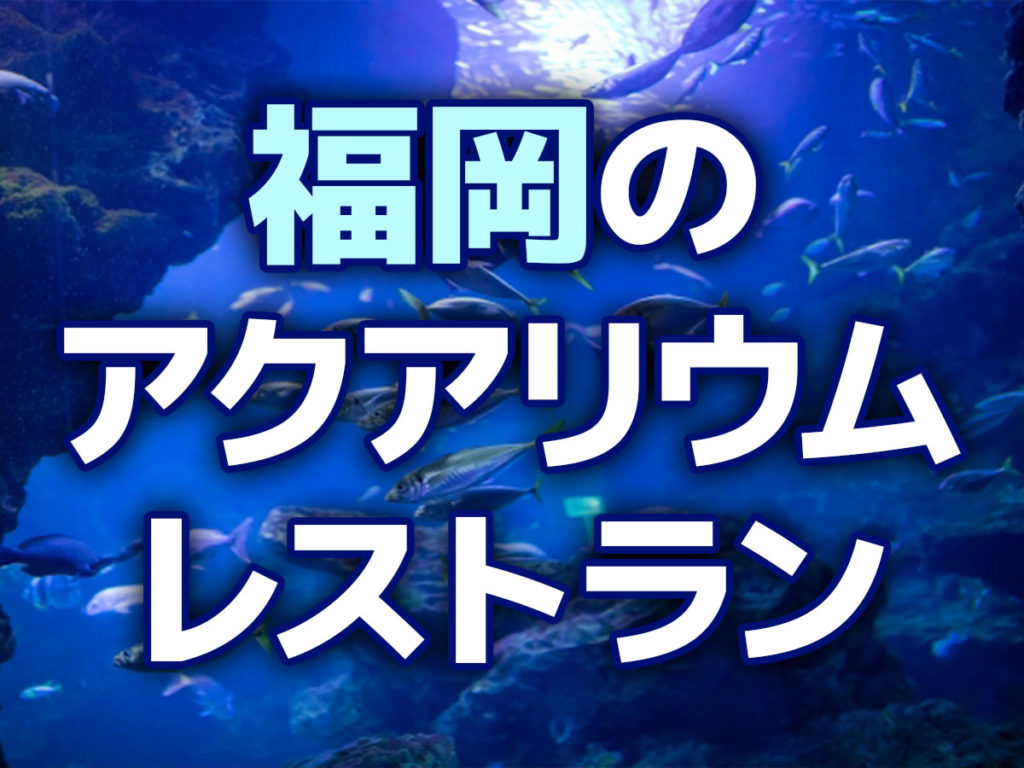 福岡のアクアリウムレストラン!水槽がおしゃれな飲食店で食事を楽しもうのサムネイル画像