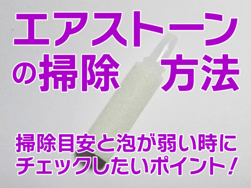 エアストーンの掃除方法と泡が弱い時のチェックポイントの見出し画像