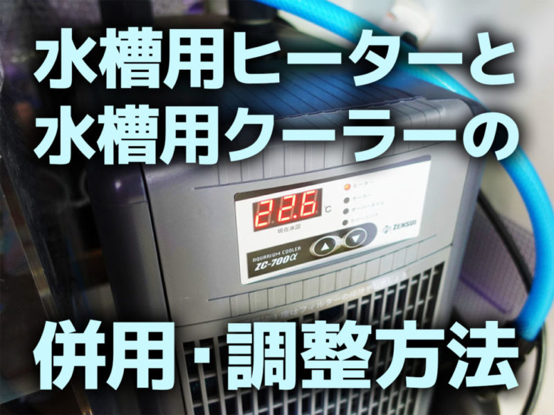 水槽用ヒーターと水槽用クーラーの併用・調整方法の見出し画像