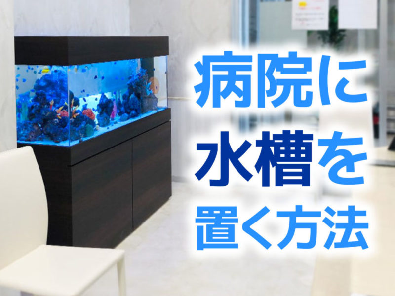 病院に水槽を置く方法の文字が入った大型海水魚水槽画像
