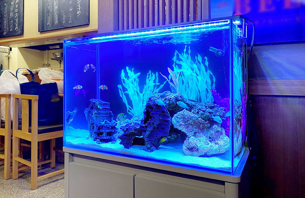 青い照明の海水魚水槽と岩のレイアウトアウトレット