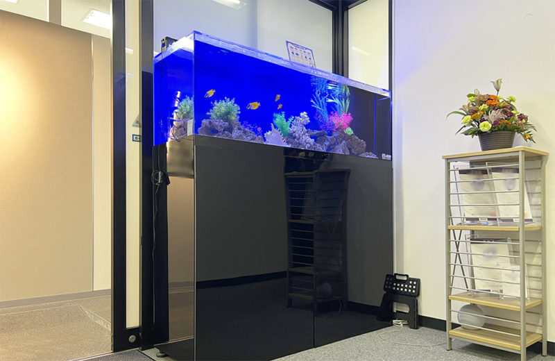 企業様のエレベーターホールに大型150cm海水魚水槽をレンタル! 水槽画像5