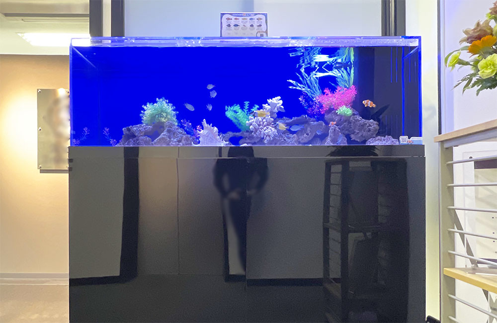 青い背景にサンゴと熱帯魚が泳ぐ横長の水槽と黒い水槽台