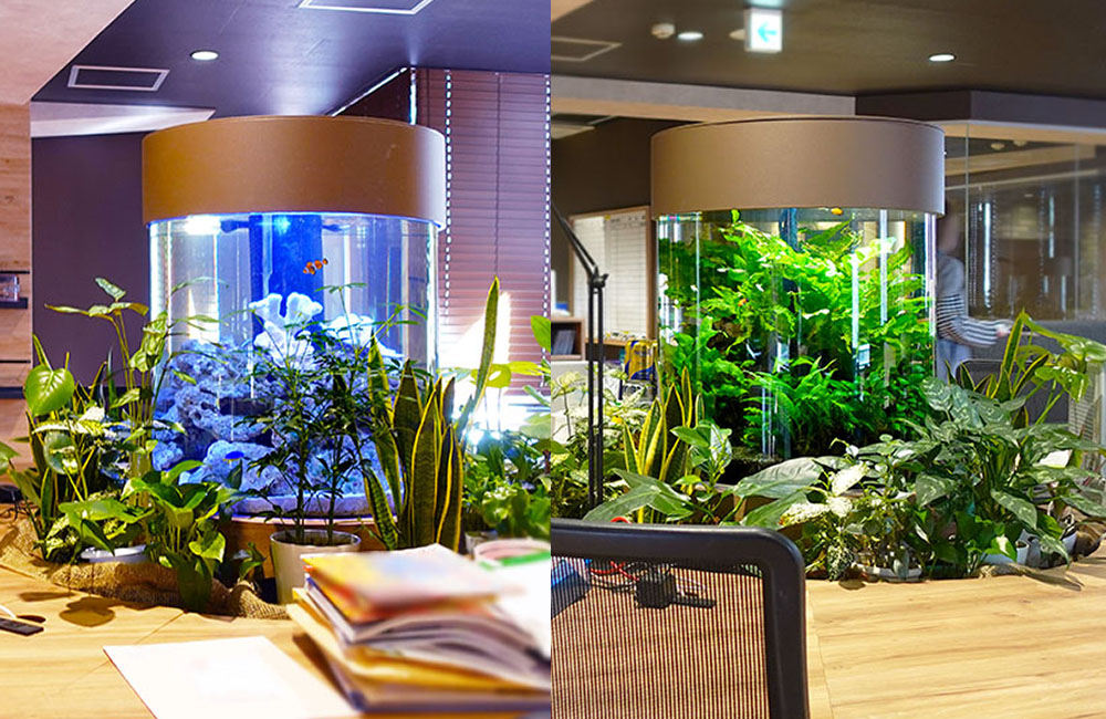 観葉植物に囲まれた円柱水槽と水草が茂る円柱水槽の比較画像