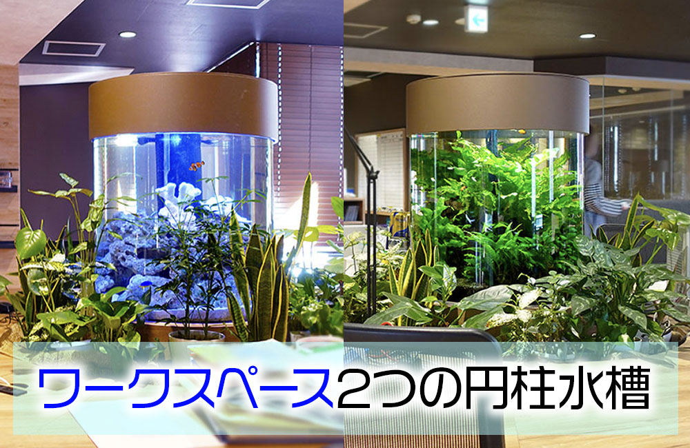 円柱水槽2台！淡水と海水水槽で企業様のオフィスを演出！