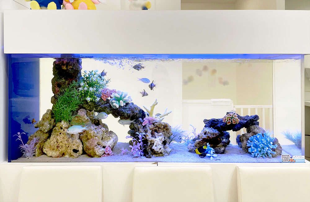 海水魚と人工サンゴを配置した横長の水槽レイアウト