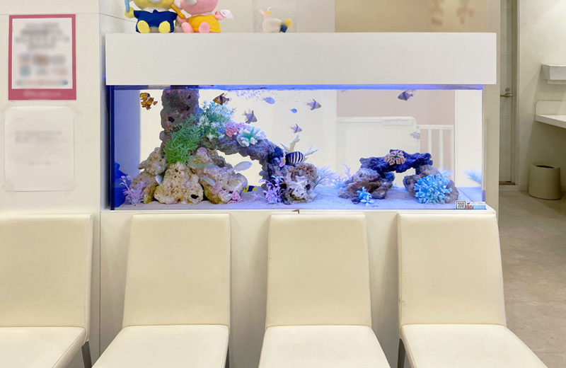 歯科クリニック様の特注海水水槽のその後！定期メンテナンス事例 水槽画像２