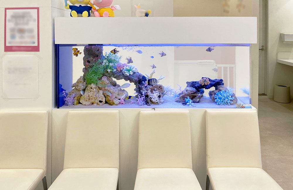 待合室の椅子と海水魚が泳ぐ横長の水槽レイアウト