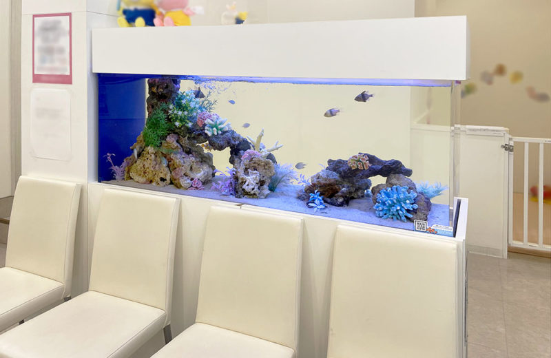 歯科クリニック様の特注海水水槽のその後！定期メンテナンス事例 水槽画像５