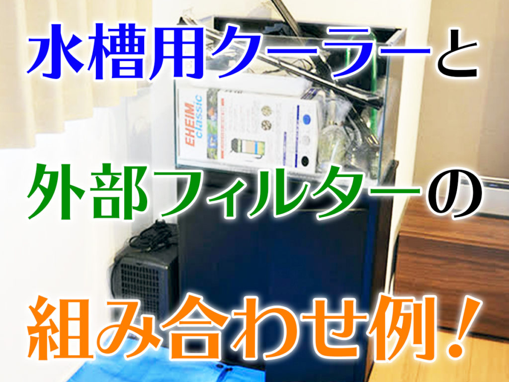 水槽用クーラーと外部フィルターの組み合わせ例！効率よく冷却しようのサムネイル画像