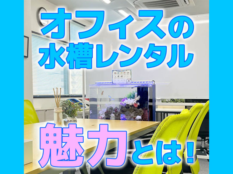 オフィスの水槽レンタルの魅力とは!の文字入り見出し画像