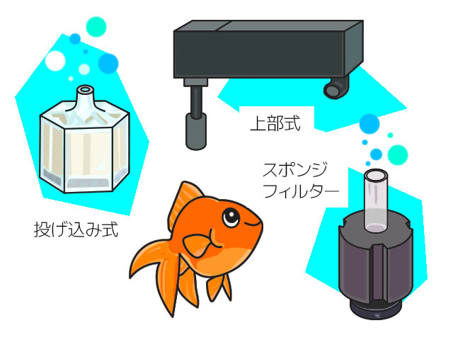 金魚と上部式・投げ込み式・スポンジフィルターのイラスト