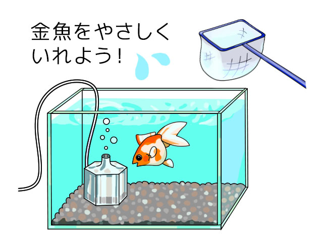 金魚をやさしくいれようの文字と水槽のイラスト