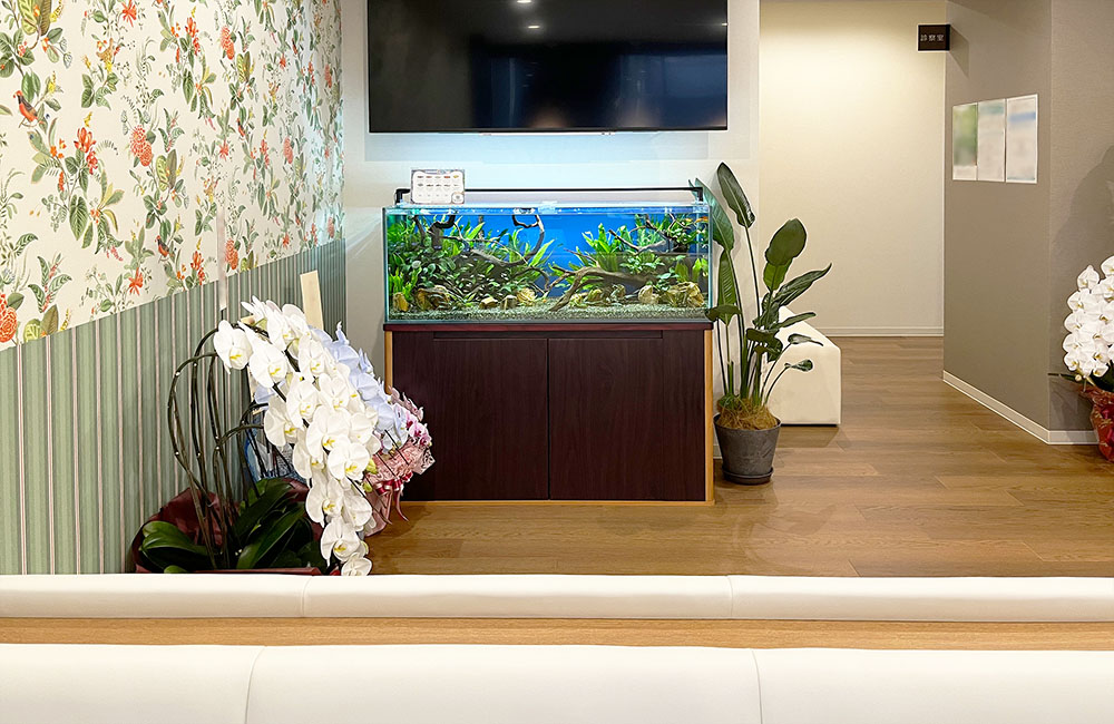 待合室の胡蝶蘭と並ぶ大型水草水槽と壁掛けテレビ