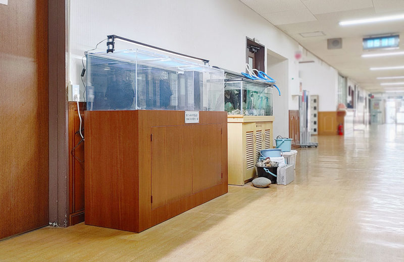 卒業記念品として！学校に150cmの特注水槽一式を販売・設置 水槽画像５