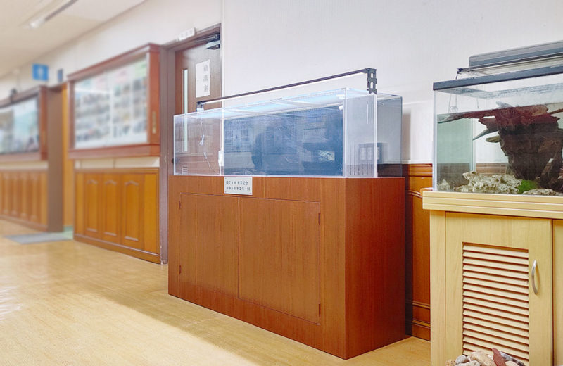 卒業記念品として！学校に150cmの特注水槽一式を販売・設置 水槽画像３