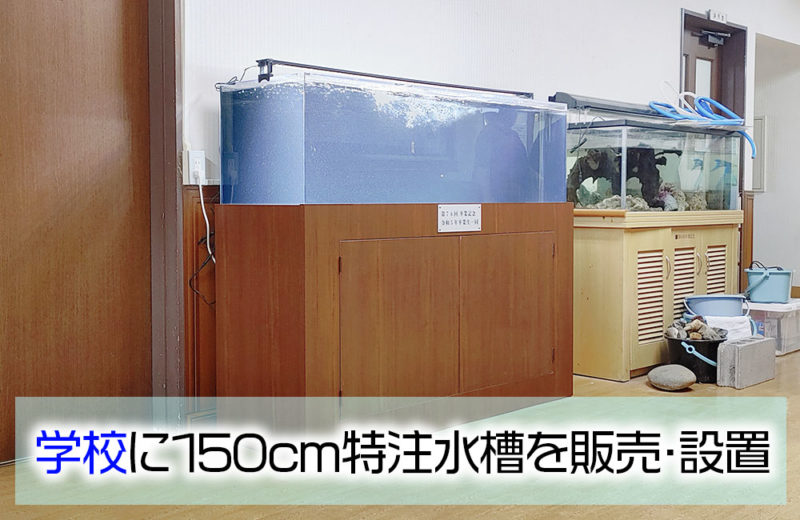 卒業記念品として！学校に150cmの特注水槽一式を販売・設置 水槽画像１