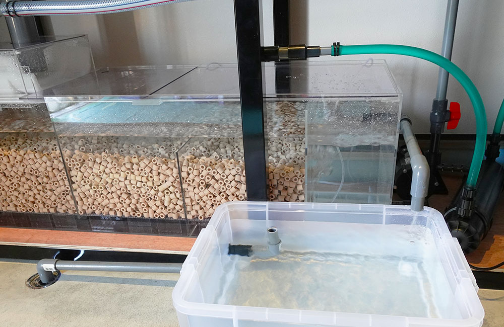 リングろ材が詰まった大型濾過槽と手前の水槽容器