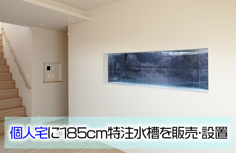 東京都江東区　個人宅様　30cm淡水魚水槽　お試しレンタル事例