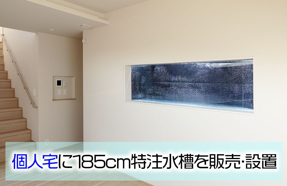新築の個人宅様に185cm大型特注水槽を販売・設置！理想のアクアリウム空間のサムネイル画像
