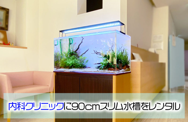 クリーンな水草水槽!内科クリニック様の90cmスリム淡水水槽 水槽画像1