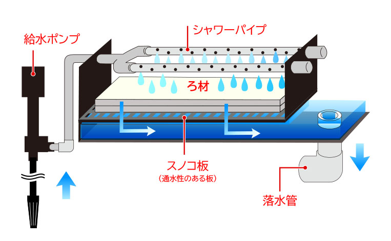 給水ポンプやシャワーパイプを備えた上部フィルターの構造図