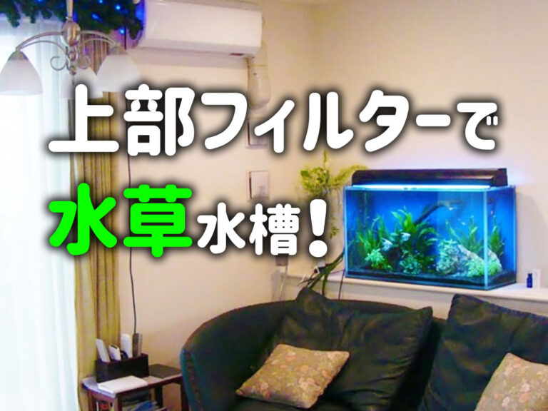 上部フィルターで水草水槽！の文字とリビングの水槽画像