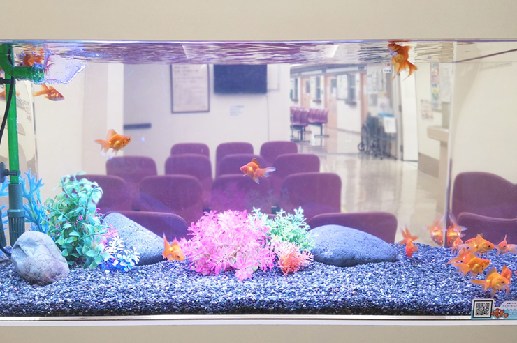 待合室に設置された金魚が泳ぐ人工水草入りの水槽