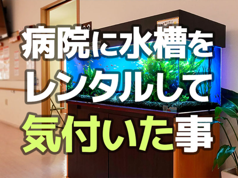 病院に水槽をレンタルして気付いた事の見出し画像