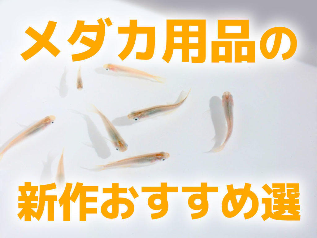 2024年メダカ用品の新作8選!メダカの餌やフィルター、産卵床のサムネイル画像
