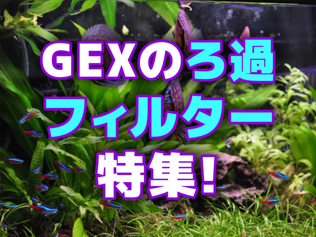 GEXのフィルター特集!ろ過能力や機能性も重視したコスパ抜群の7選のサムネイル画像