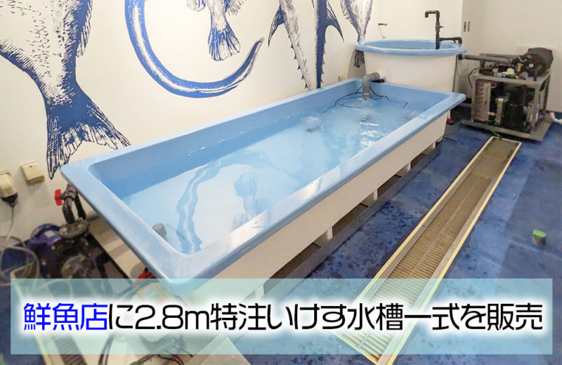 2.8mのいけすを販売!鮮魚専門の飲食店様に超大型活魚水槽を設置 水槽画像1