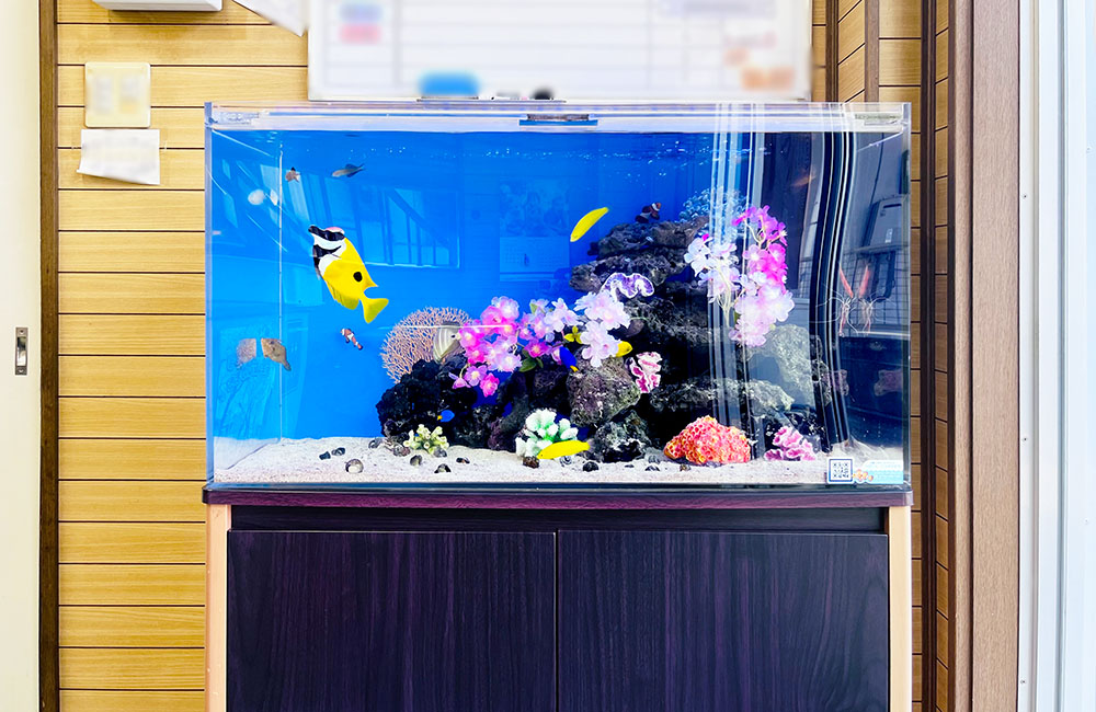 造花と海水魚が泳ぐ青い背景の海水魚水槽